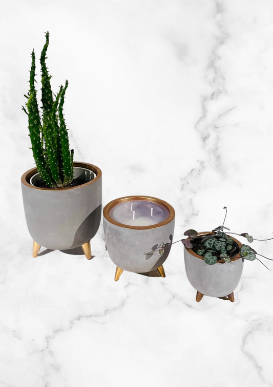 Copper and concrete flowerpot