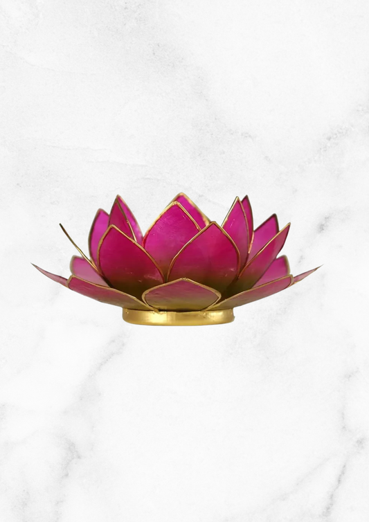 Lotus Rose mood lighting