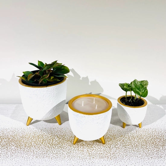 White flowerpot on three golden legs